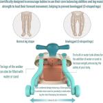 Baby Push Walker for Infant (Stroller) 6-24 Months